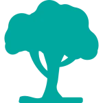 learning-beyond-the-classroom